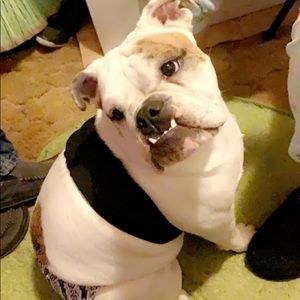 Meet your Posher, Marke